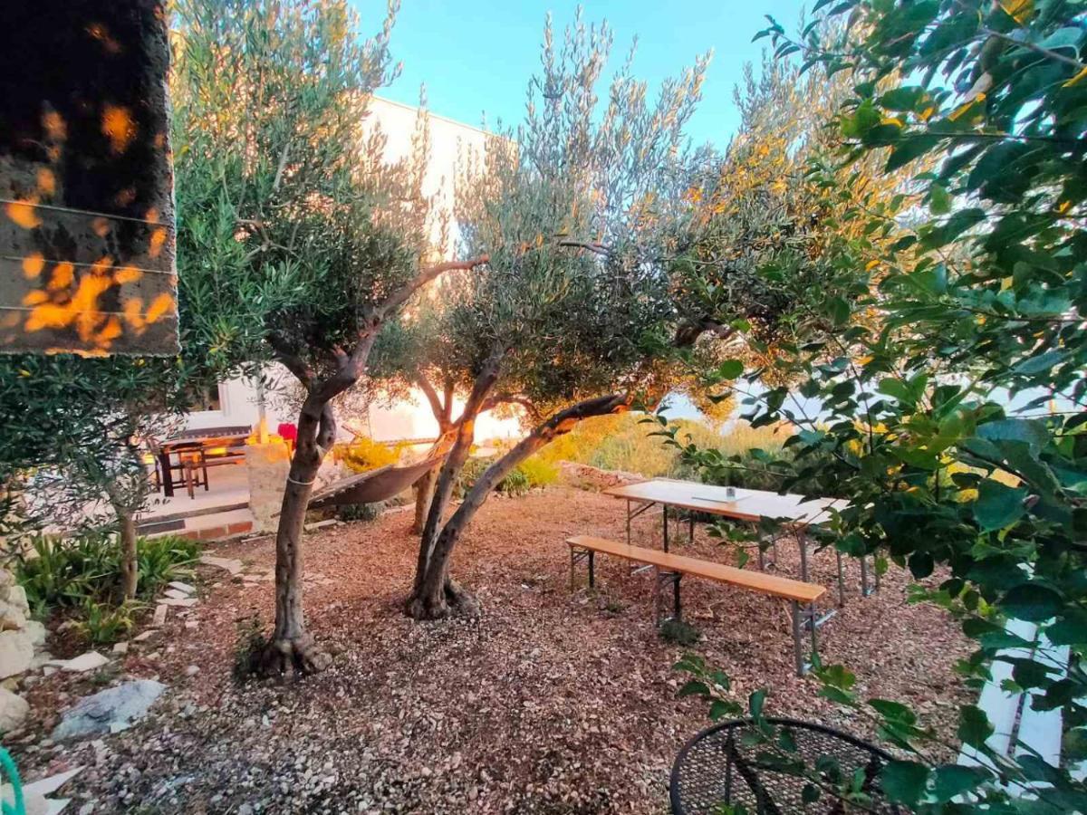Apartment Croatia Art Drasnice Dış mekan fotoğraf