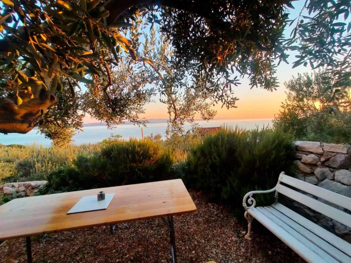 Apartment Croatia Art Drasnice Dış mekan fotoğraf