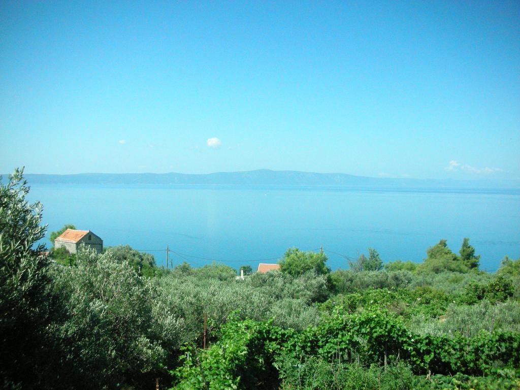 Apartment Croatia Art Drasnice Dış mekan fotoğraf